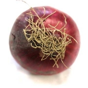 Samen koken is een reis door natuur en tijd