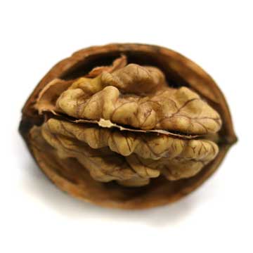 De-Smaak-te-pakken-Walnoot